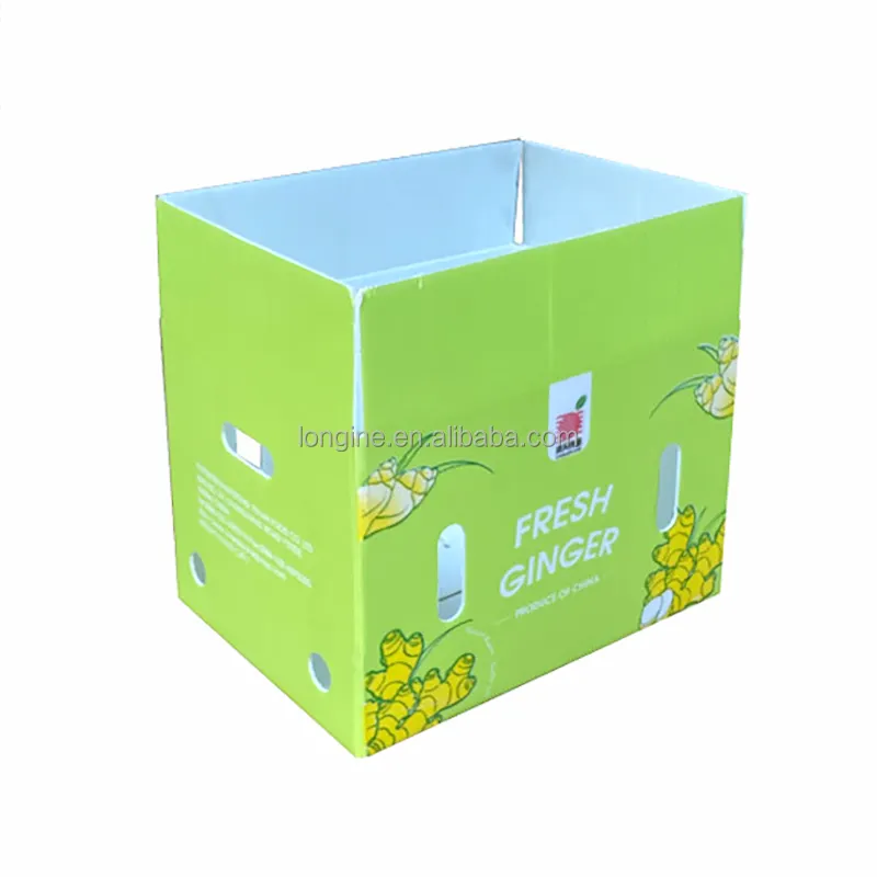 Vente en gros de boîte de carton creux en plastique PP boîte de cadre de carton creux en plastique carton ondulé pliable pour fruits