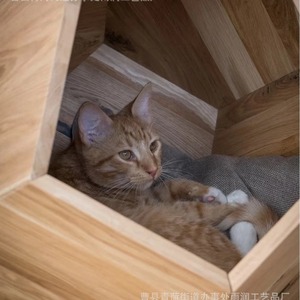 Cama para Mascotas de Madera Maciza, Caja Nido para Gatos, Mueble Multifuncional, Origen Shandong, Material de Roble Natural, Forma Cuadrada - Product Image 3