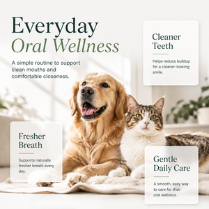 Soins bucco-dentaires professionnels pour chiens et chats, poudre dentaire, contrôle de la plaque dentaire, haleine fraîche, formule personnalisée, étiquette privée - Product Image 3
