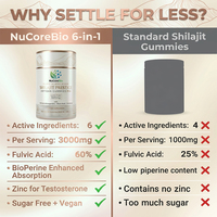 NuCoreBio Gezondheidsvoeding Himalaya Shilajit Gummies 100% Zuiver Natuurlijk Vitamine Suikervrij 3000mg Individueel Verpakt OEM