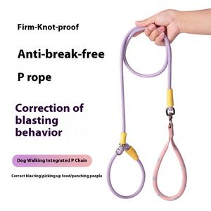 Correa para perros P-Slip duradera de lujo con mango suave, correa de entrenamiento todo en uno multicolor para caminar/entrenar (todos los tamaños de perros) - Product Image 5
