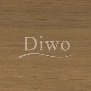 Diwo - Filme PVDF anti-UV à prova de fogo de largura personalizada para janelas e portas externas