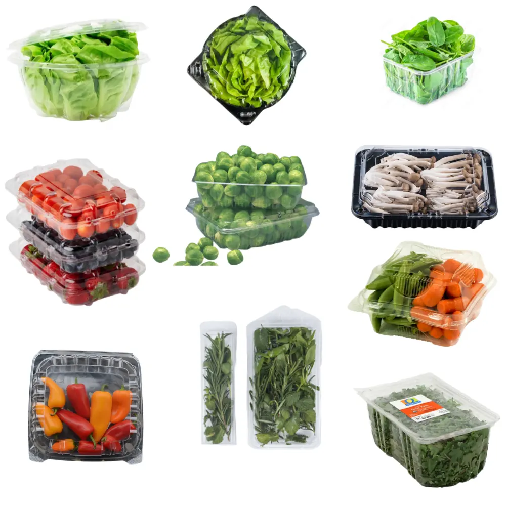 Food Grade PET Plastic Box Clear Alface Kale Tomate Peppers Herb Clamshell Embalagem para Legumes Frescos