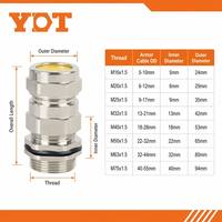 YDT M20 Presse-étoupe blindé en laiton à double compression, connecteur étanche antidéflagrant IP68