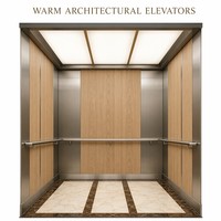 Ascensore Accessibile per Disabili 1000kg 1.0m/s 4 Piani con Pulsante Braille per Edifici Pubblici
