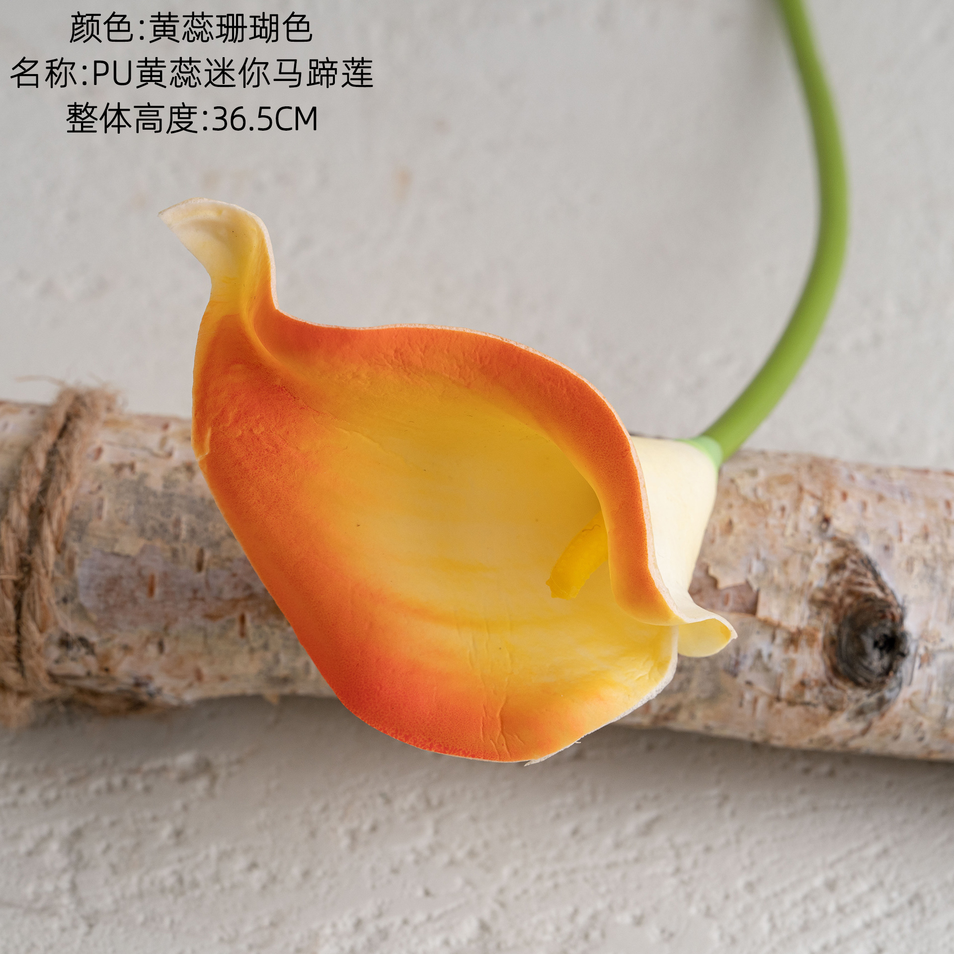 Coral amarillo
