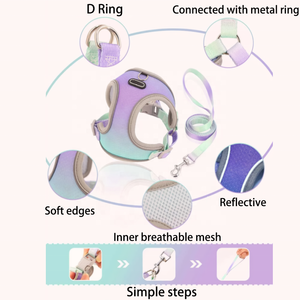Néon couleur Xs petit animal de compagnie maille <span class=keywords><strong>harnais</strong></span> laisse ensemble minuscule sangle réfléchissante réversible <span class=keywords><strong>chien</strong></span> gilet vêtements chiot Teddy <span class=keywords><strong>chien</strong></span> <span class=keywords><strong>harnais</strong></span> - Product Image 4