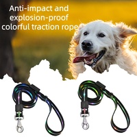 Accessoires pour animaux de compagnie, chien, chat, laisse lumineuse, RGB, luminescente, rechargeable par USB, laisse LED pour chien avec lumière pour la marche nocturne