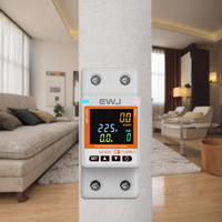 Tuya PA66 Mini maison intelligente disjoncteur 2P 63A Wifi RCBO compteur d'énergie minuterie fuite à la terre interrupteur intelligent disjoncteur