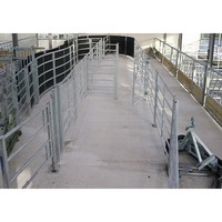 Chine Bonne qualité Structure en acier Chèvre Hangar Maison d'élevage de chèvres préfabriquée Conception à vendre