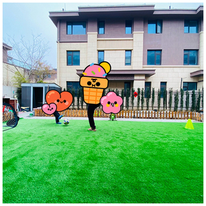 Cỏ Nhân Tạo Giá Rẻ Quảng Châu Cỏ Nhân Tạo Grama Futbol Cỏ Nhân Tạo Cỏ Treo Tường - Product Image 1