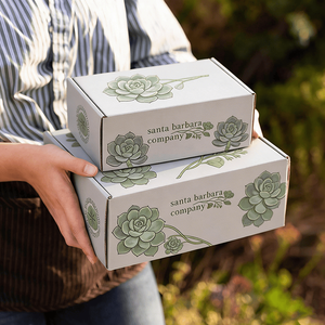 Caja de Cartón Corrugado Blanca Personalizada, <span class=keywords><strong>Cajas</strong></span> de Envío de Cartón con Marca, Solución de Embalaje para Plantas, Regalos, Venta al por Menor y Envíos Postales - Product Image 2