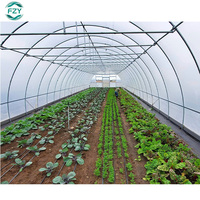 Prix commercial de M2 Serre agricole Arches Poly Professional Tunnel serre verte/serre de tomates à vendre