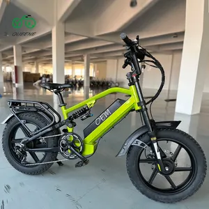 QUEENEストックEバイク48v750w1000w電動自転車高速電動ファットタイヤバイク