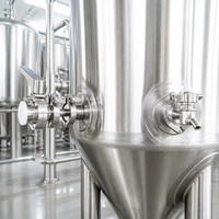 Fermenteur isobare en acier inoxydable Tonsen de 200L à 5000L, cuve de fermentation et de clarification 2HL-50HL pour brasserie