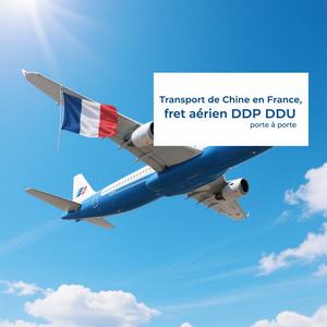 Agent maritime DHL, services de fret express Chine, transitaire, expédition <span class=keywords><strong>a</strong></span>érienne DDP depuis la Chine vers la <span class=keywords><strong>France</strong></span> - Product Image 2