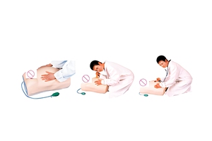 Modèle électronique de palpation obstétricale Labpilot, <span class=keywords><strong>femme</strong></span> enceinte, fantôme gynécologique, mannequin d'auscultation - Product Image 2