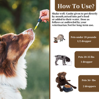 Suppléments liquides à base de plantes pour le soulagement des allergies chez les animaux de compagnie de marque privée Oem pour chien et chat