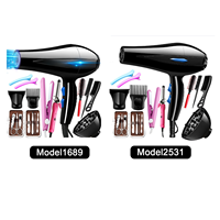 Sèche-cheveux professionnel ionique mural de haute qualité pour salon, avec diffuseur, moteur électrique AC >110 000 tr/min, idéal pour hôtels et usage domestique