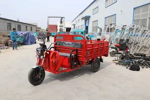 Fabriqué en Chine tricycle électrique véhicule électrique 3 roues cargo équipée en gros agricole ménage moto commerciale