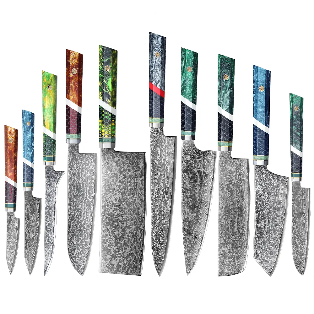 Hochwertiges 67-Schichten-Damaszener Stahl-Schefmesser-Set Harzgriff Chefkoch Japanisches Kritsuke Santoku-Messer Küchenmesser