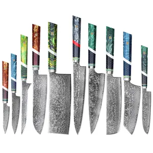 High Quality 67 Layers Damascus Steel Chef Knife Set Resin Handle Chef Japanese Kritsuke Santoku Knife Kitchen Knives