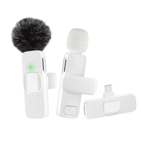 Microfono Lavalier Wireless 2.4GHz Mini per Telefono, Plug-and-Play, per Insegnamento, Registrazione, Streaming Live e Podcast