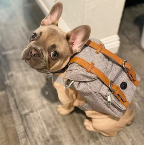 BANABA CE sertifikalı moda taşınabilir fermuar evcil hayvan sırt çantası küçük orta köpekler atıştırmalık paketi - Product Image 5