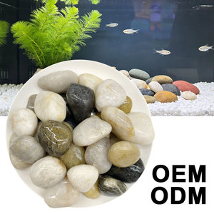 Galets polis de qualité supérieure 3-5 cm, couleurs mélangées, sans coins vifs, pour tortues, aquariums et jardins - Product Image 2