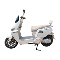 Moto électrique pour adulte Paige 60V 72V 1000W 1500W 2000W, cadre durable, personnalisable, acceptation OEM, directement de l'usine Paige