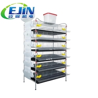 Poulailler de type H de grande capacité en acier galvanisé pour cailles pondeuses avec système de ramassage automatique du fumier et structure en grillage durable