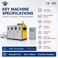 Machine automatique d'occasion pour la fabrication de gobelets jetables en PP/PET, faible consommation d'énergie, forte stabilité, haute production, entretien facile, certifiée CE