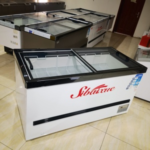 2 Cửa Dọc Sâu Tủ Đông Lò Lồng Ấp Duy Nhất Nhiệt Độ Trắng 850L Làm Mát Trực Tiếp Hisense Sâu Tủ Đông Nhiệt - Product Image 3