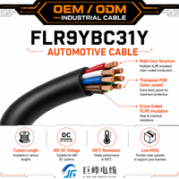 Câble de faisceau de câblage automobile FLR9YBC31Y, câble de commande pour éclairage de voiture, capteur, distribution d'alimentation ECU et faisceau de câblage de carrosserie