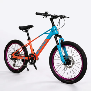 Bicicleta de Montaña para Estudiantes de 20 Pulgadas, Diseño Ergonómico, Asiento Cómodo, para Adolescentes, de Alta Calidad, Gran Venta, SY 3-15 Años - Product Image 1