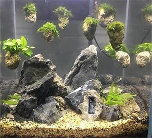 <span class=keywords><strong>Pierre</strong></span> flottante de réservoir d'<span class=keywords><strong>aquarium</strong></span> de roche de cabochons de <span class=keywords><strong>pierre</strong></span> pumique naturelle crue - Product Image 1