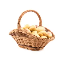 Новое культивирование свежего желтого картофеля 2022 по оптовой цене