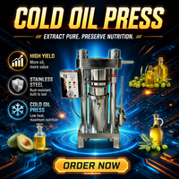 Presse à huile hydraulique pour arachides et graines de tournesol, pour extraction à froid, prix direct usine Chine