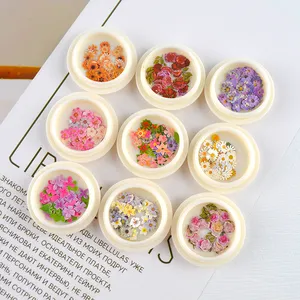 JF064 50PCS Wholesale Wood Pulp Flowers Resin Jewelry Making Supplies Colorful Leaves Nail Art Stickers Resina Fillers