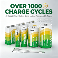 Batterie rechargeable au lithium-ion LiPo USB-C de type AA AAA 2500 mAh 1,5 V avec chargeur