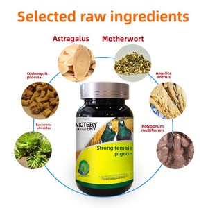 Médicament pour pigeons : Produit de santé pour pigeons femelles à base d'œufs de centenaire à coquille molle, durée de conservation de 2 ans - Product Image 3