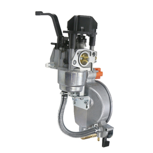 Générateur à double carburant personnalisable en gros 2KW 2.5KW 3KW 5KW 168F SPD GX160 GX200 sans électrovanne carburateur - Product Image 6