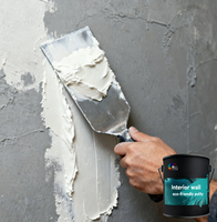 Enduit mural intérieur écologique en acrylique, sans COV, non toxique, à base d'eau, surface lisse |   Mur à haute adhérence résistant à l'humidité