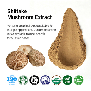Poudre d'extrait de champignon <span class=keywords><strong>Shiitake</strong></span> biologique de qualité alimentaire AMULYN 1 kg, poudre d'extrait de Lentinus Edodes - Product Image 2