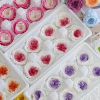 Têtes de roses éternelles naturelles et artisanales en gros, 4-5 cm, roses Austin réelles pour la fête des Mères, les mariages et la décoration intérieure