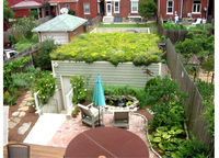 Système de serre de jardin modulaire avec panneaux en PP durables, assemblage DIY écologique pour balcons et terrasses urbaines