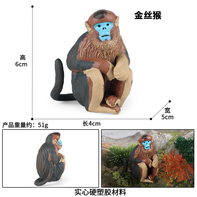 M-1707 scimmia d'oro