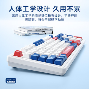 ViewSonic KW127 Wireless <b>Keyboard</b> 98-Key Two-Color Membrane Gaming Office Use - Product Image 4