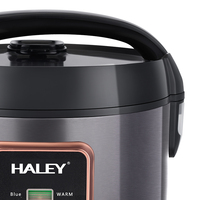 HALEY Cuiseur à riz automatique multifonctionnel de haute qualité 6L Ustensiles de cuisine électriques ménagers