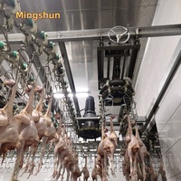 Machine d'abattage de poulets pour abattoir, capacité 5000 volailles par heure, prix